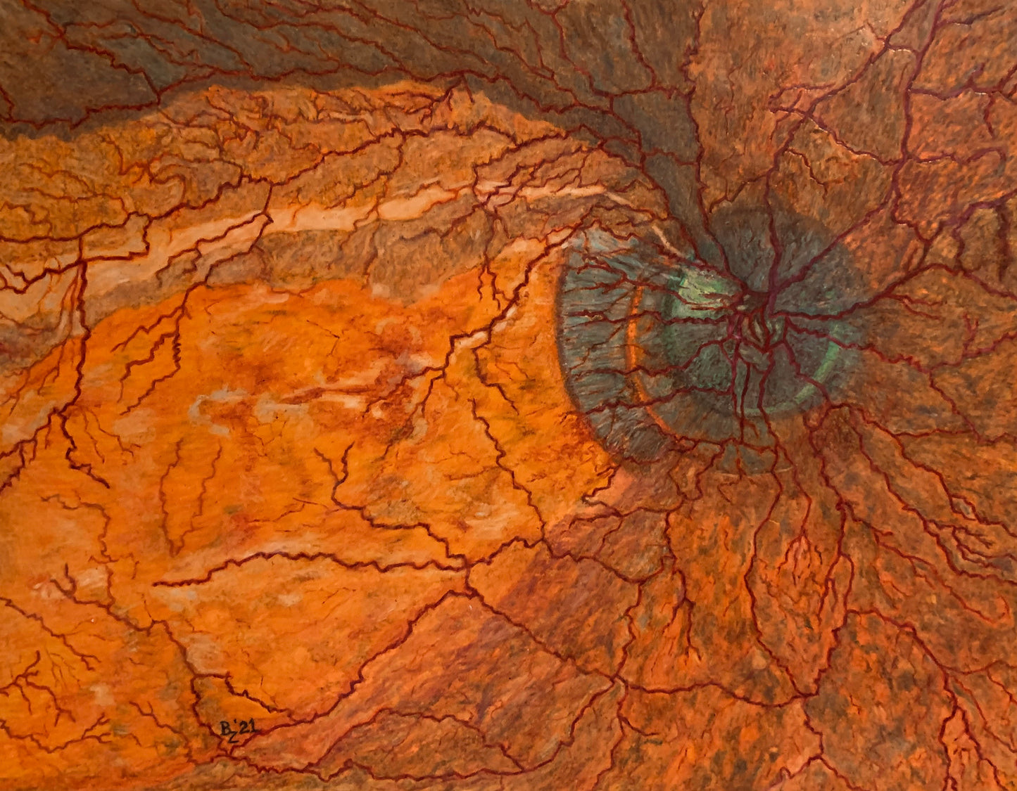 "Visionary Landscapes" - Intricate Retinal Imaging Diptych